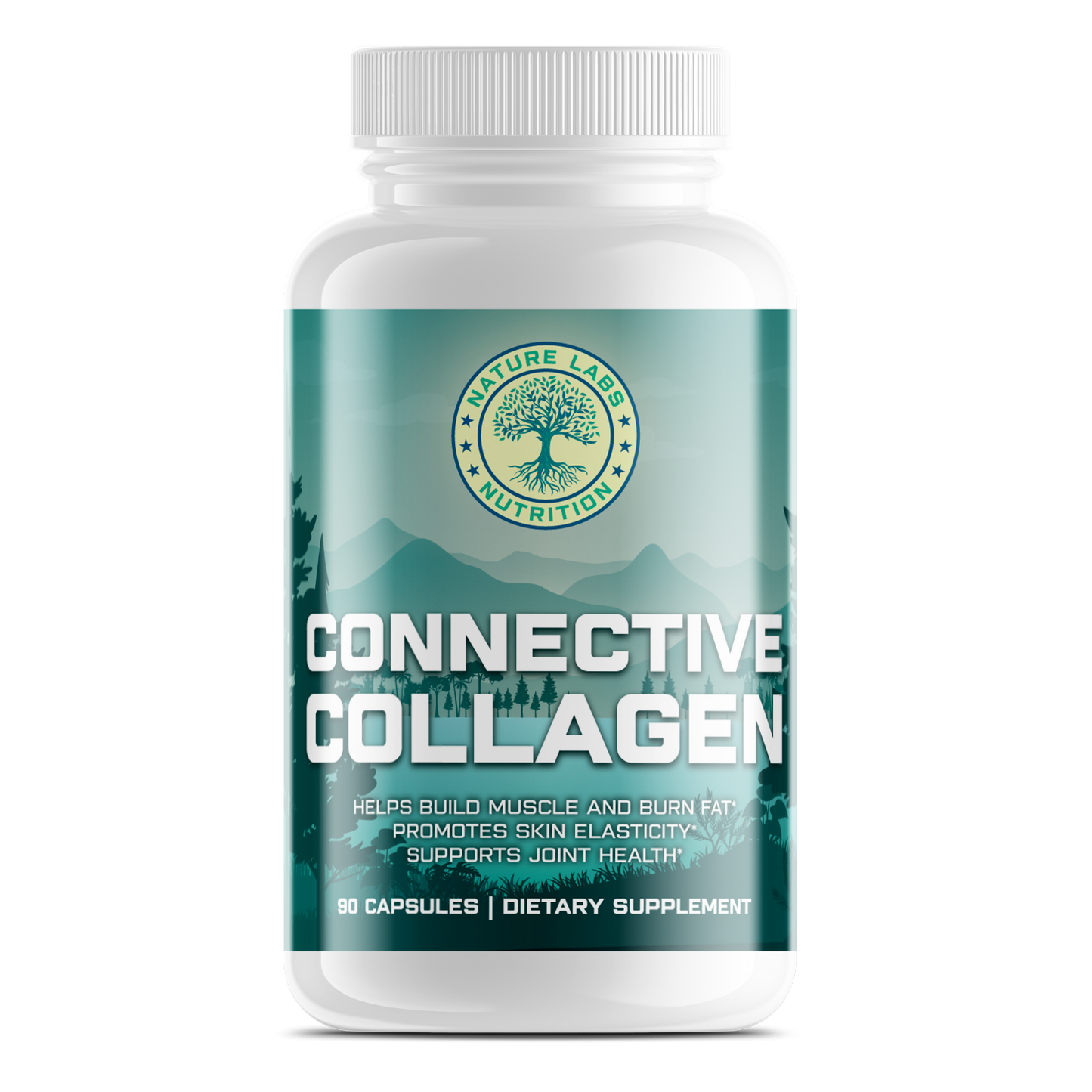 Connective Collagen